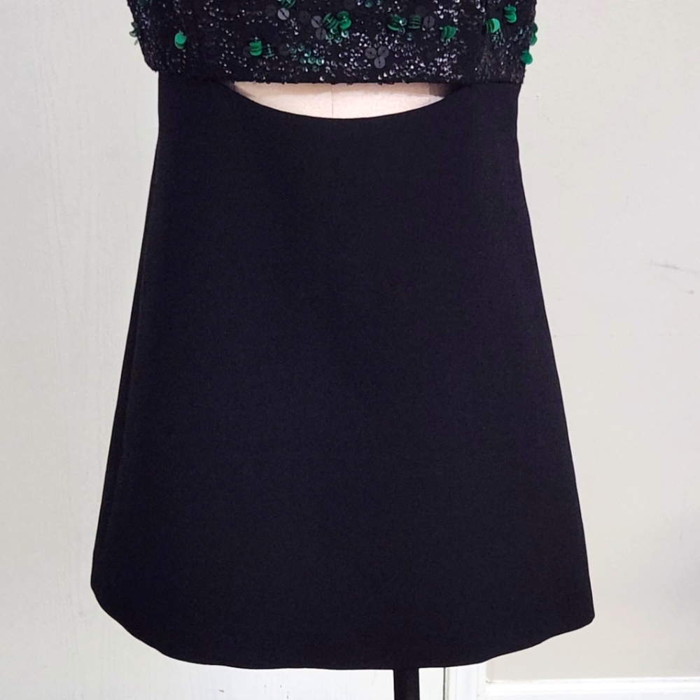 Zara Embroidered Yoke Dress, Limited Edition - Picture 10 of 12